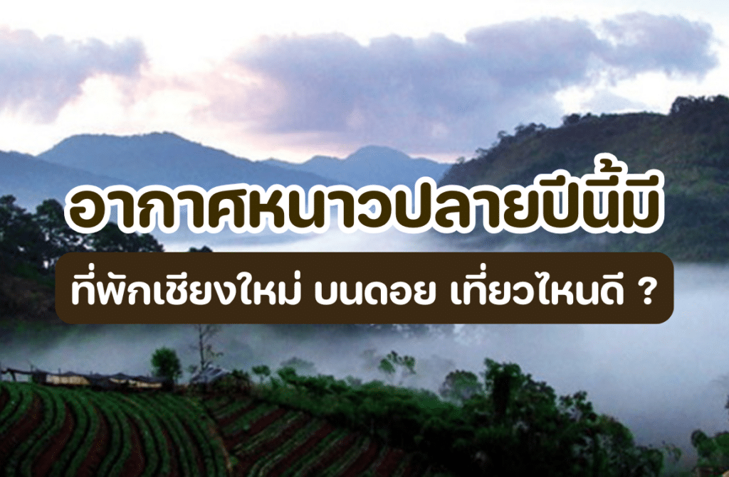 ที่พักเชียงใหม่ บนดอย