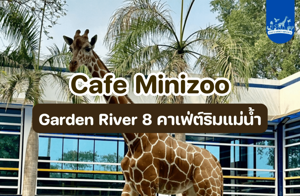 cafe minizoo garden river 8