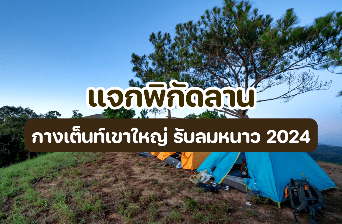 กางเต็นท์เขาใหญ่