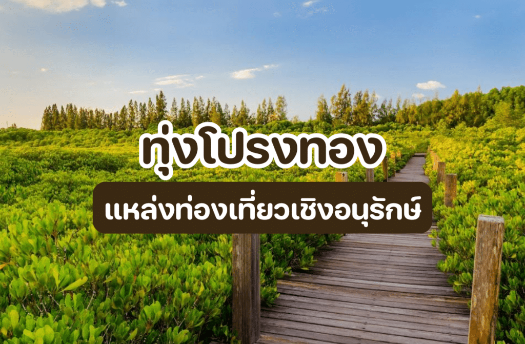 ทุ่งโปรงทอง
