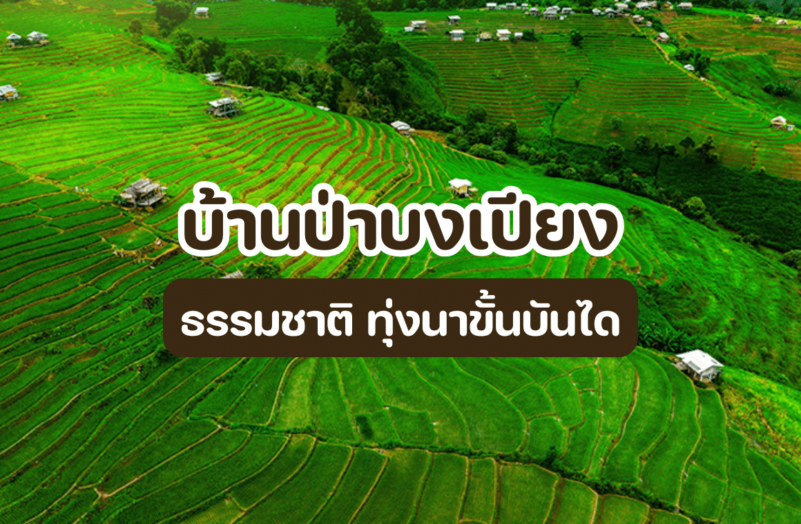 บ้านป่าบงเปียง