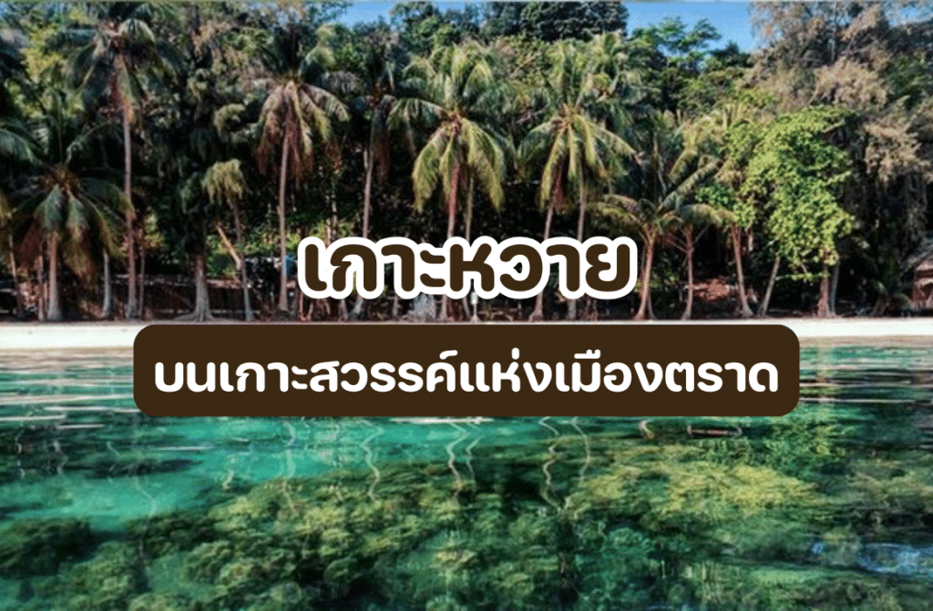 เกาะหวาย