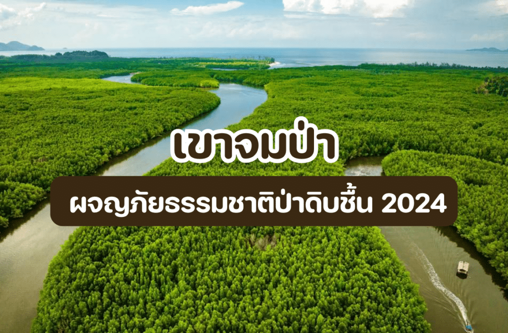 เขาจมป่า