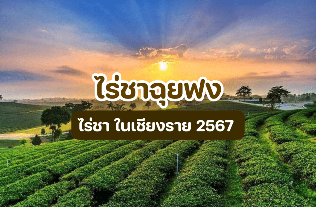 ไร่ชาฉุยฟง