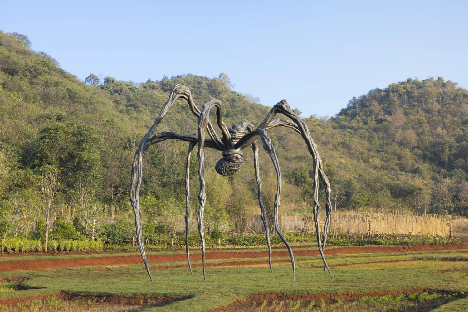 Khao Yai Art Forest 4