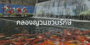 คลองญวนชวนรักษ์ เสน่ห์แห่งวิถีชีวิตริมน้ำที่ต้องไปสัมผัส