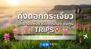 ดอกกระเจียวของอุทยานแห่งชาติไทรทอง