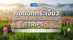 ทุ่งดอกกระเจียว อุทยานแห่งชาติป่าหินงาม ชัยภูมิ