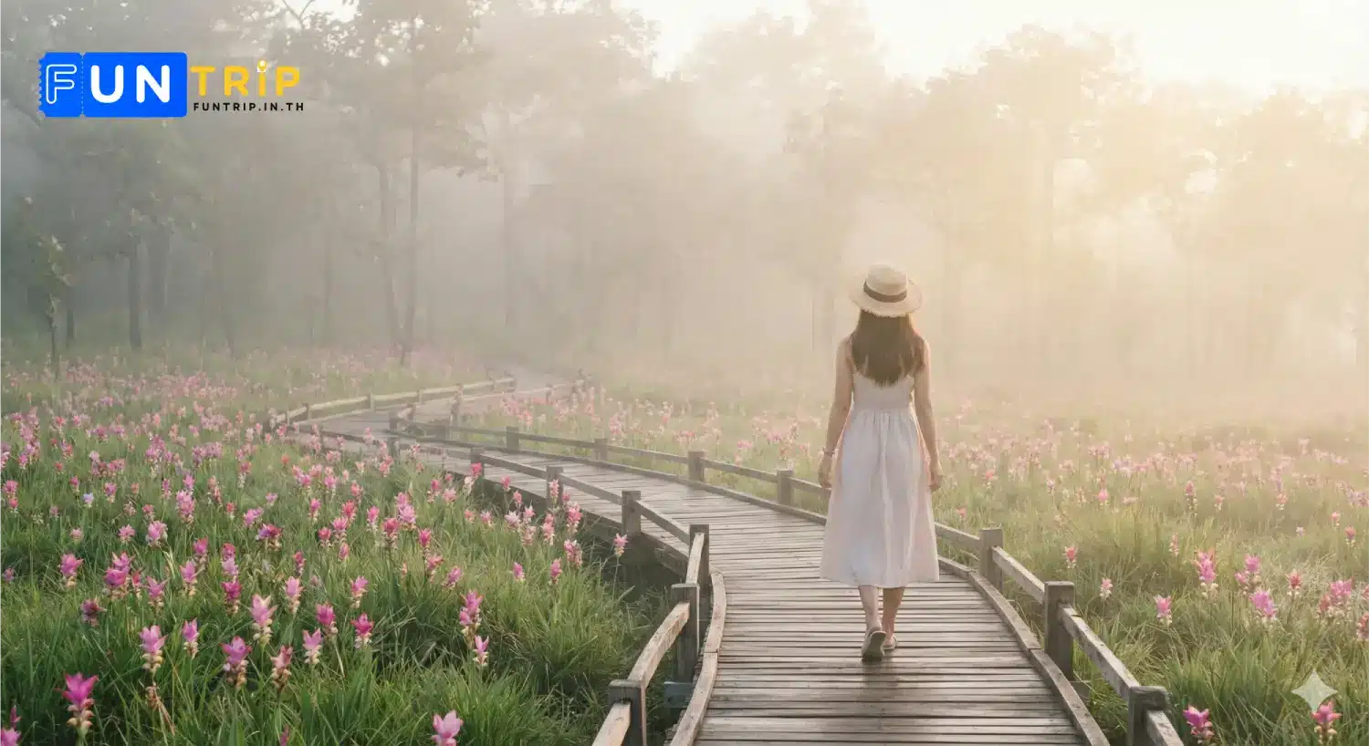 ทุ่งดอกกระเจียวของอุทยานแห่งชาติไทรทอง