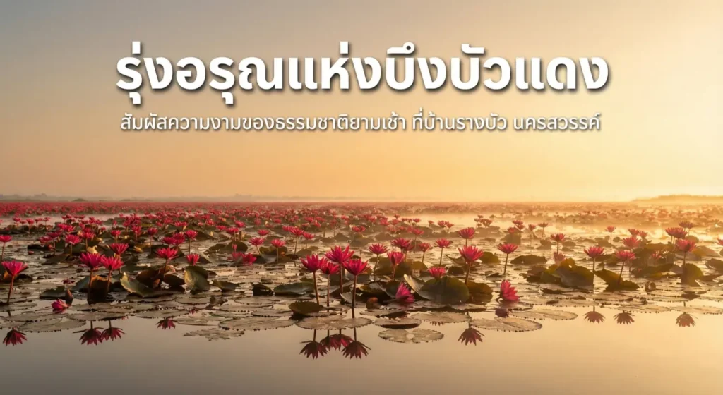 ทุ่งบัวแดง นครสวรรค์