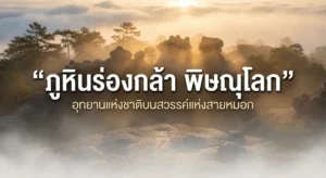 ภูหินร่องกล้า พิษณุโลก