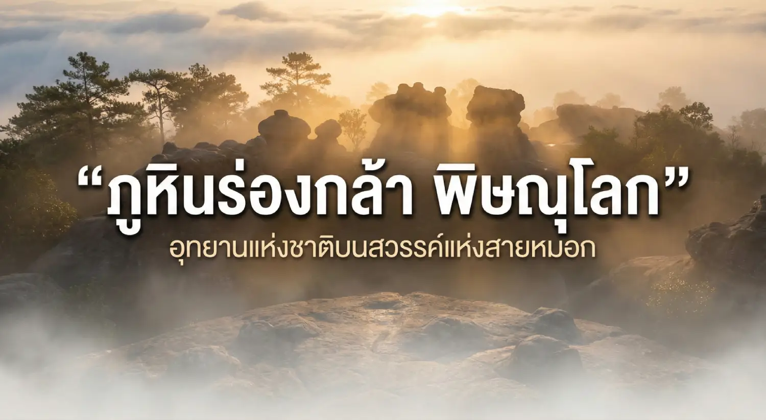 ภูหินร่องกล้า พิษณุโลก