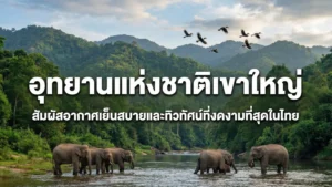 อุทยานแห่งชาติเขาใหญ่